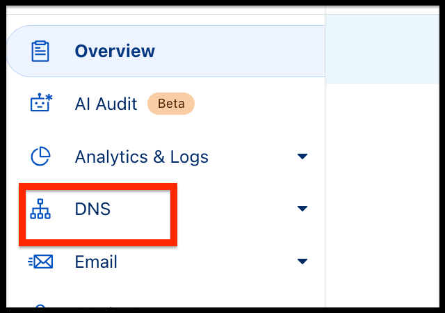 dns section